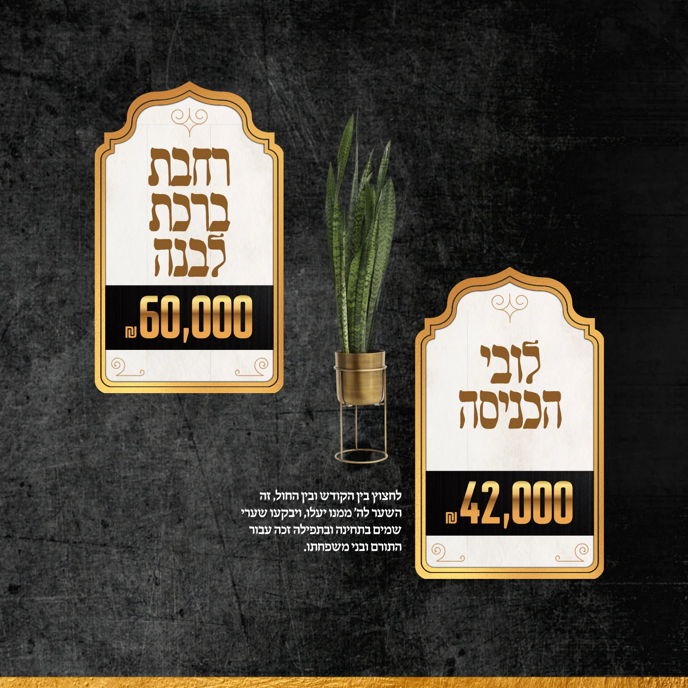 עמוד 12