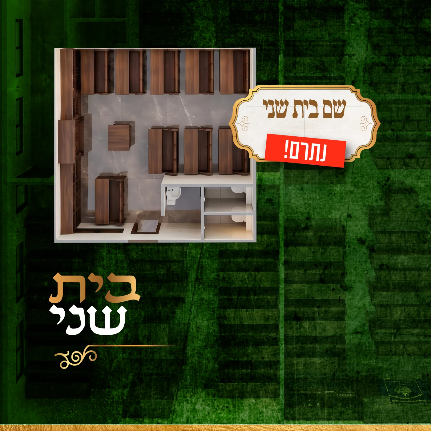 עמוד 13
