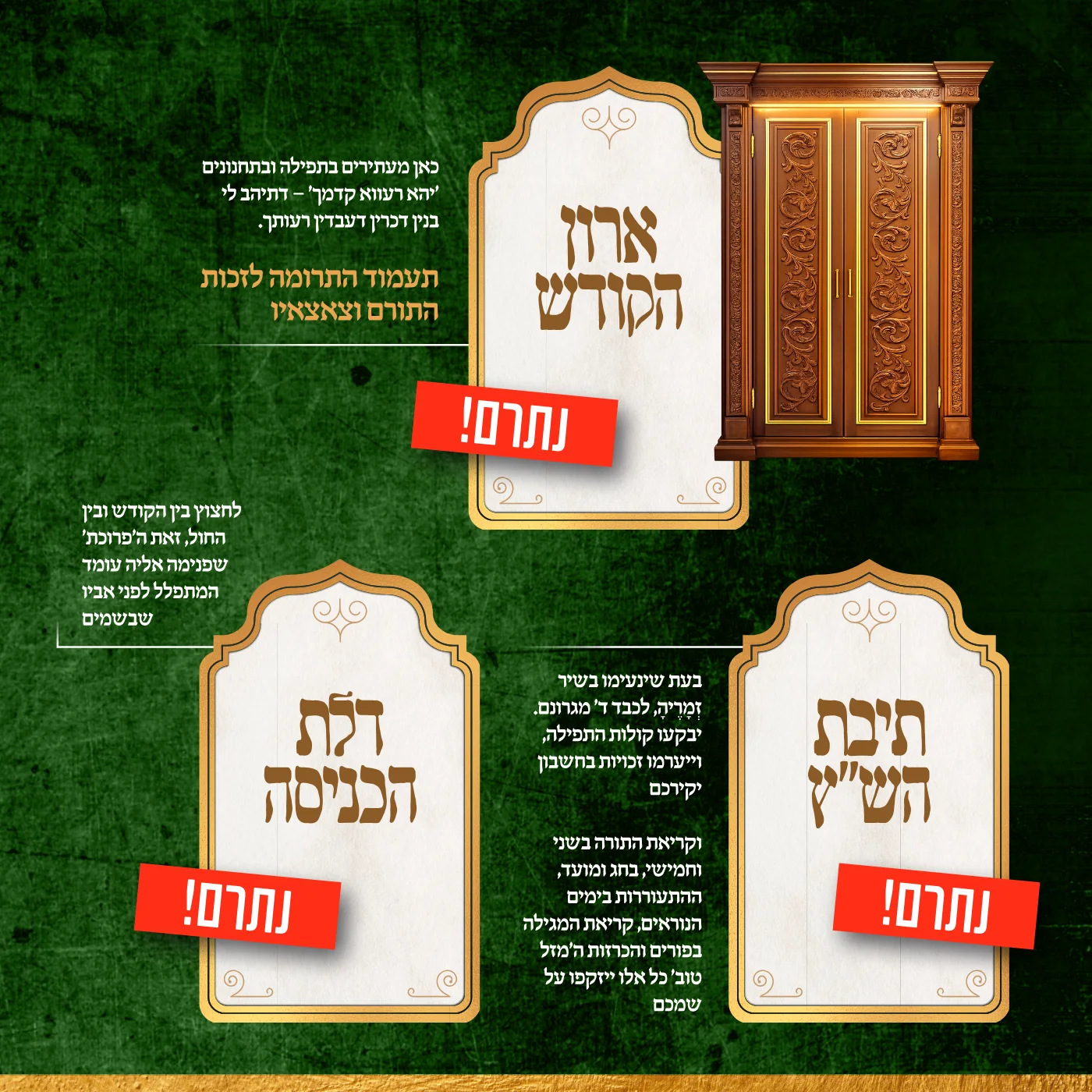 עמוד 14