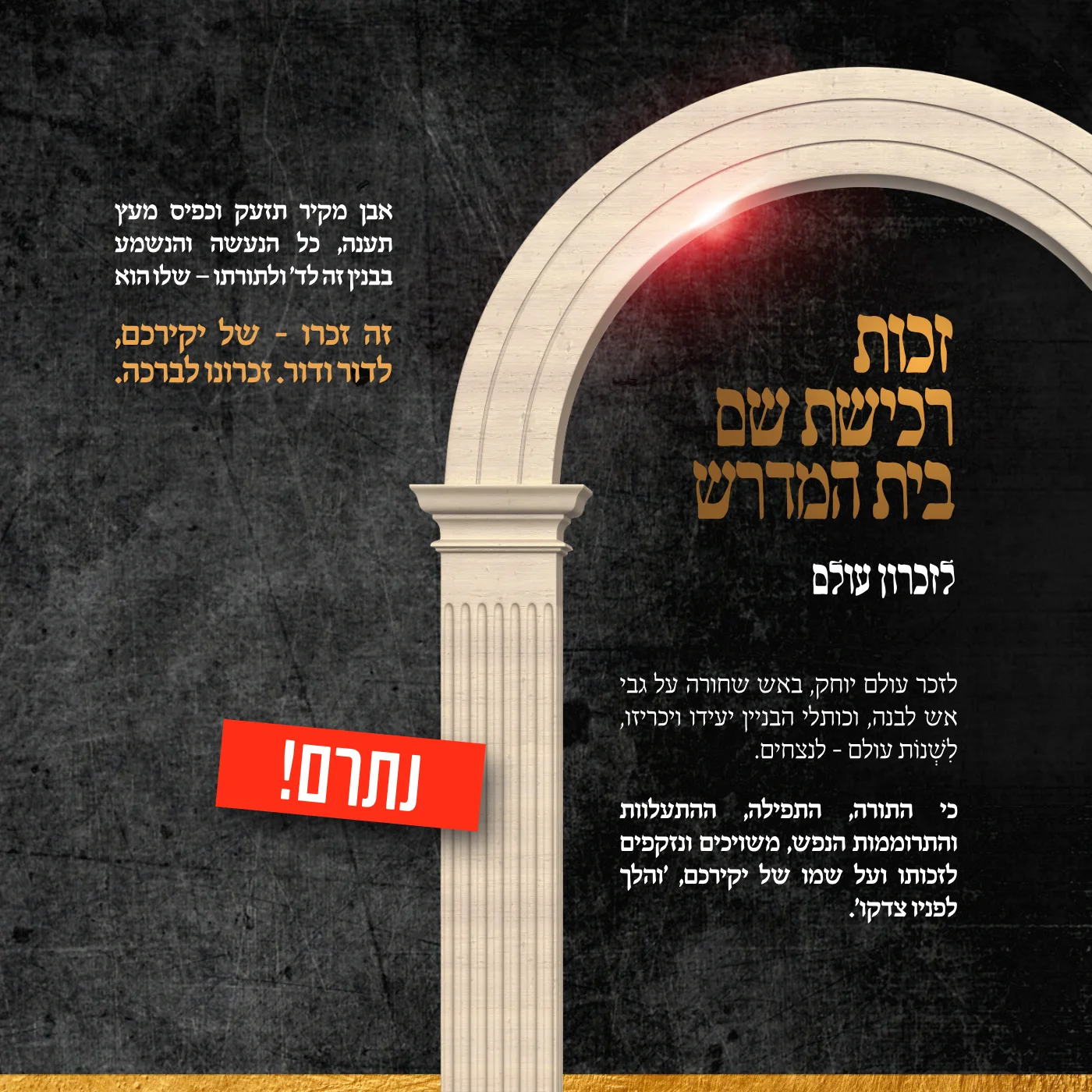 עמוד 6