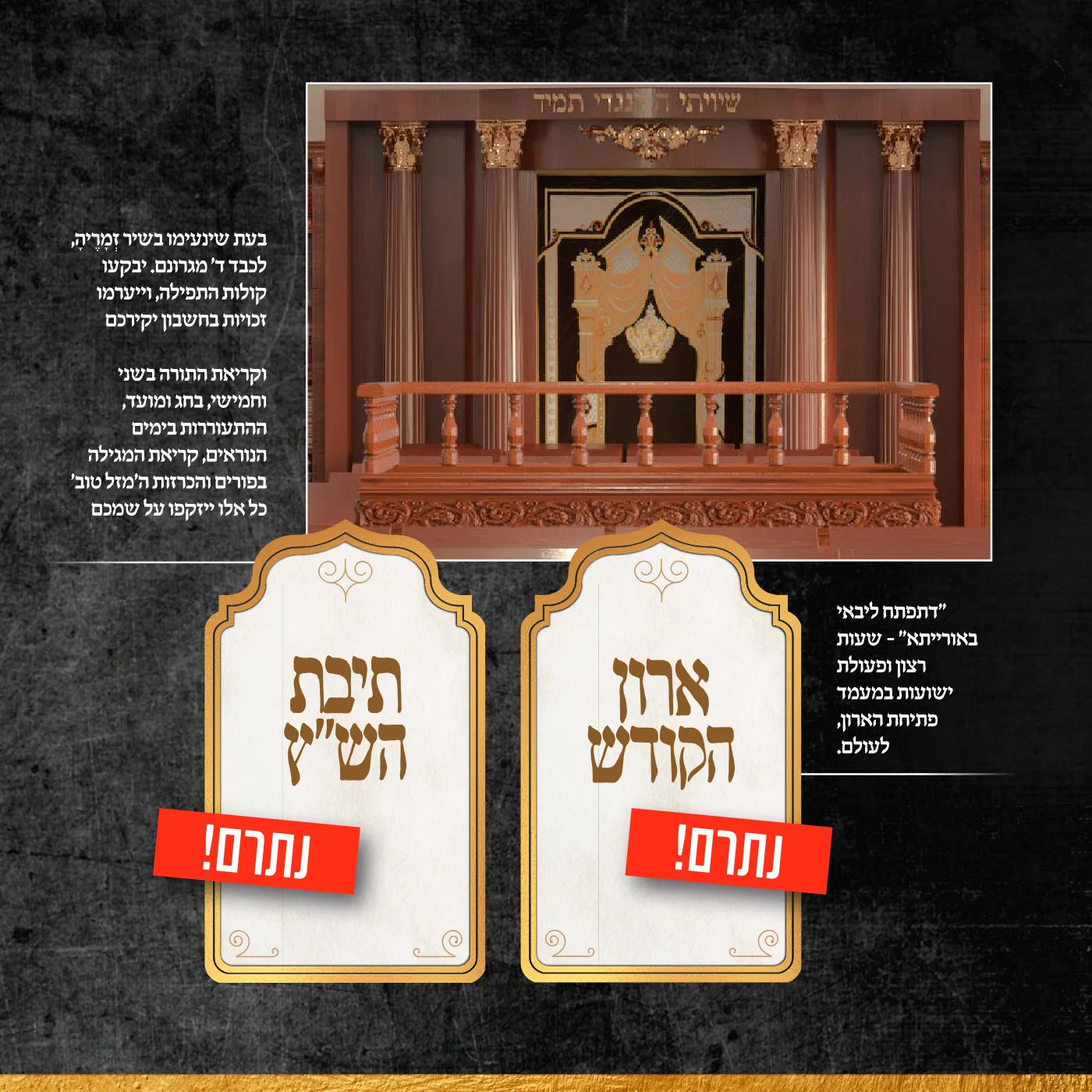 עמוד 8
